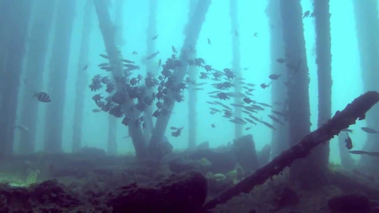 Diving Rapid Bay Jetty, Fleurieu Peninsula, South Australia