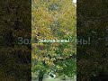 Мир прекрасен! А это всё мои края родные, мои любимые края!#природа