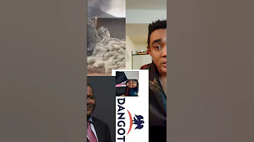 The Menace Of Dangote Trucks In Nigeria Viralreaction Foryou 