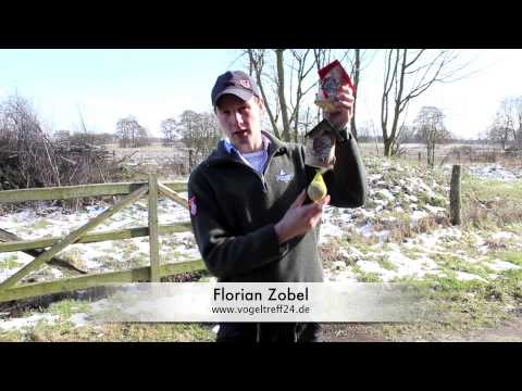 Knödel Haus Vogelfutterhaus Vogelhäuschen Mit Vogelfutter Youtube
