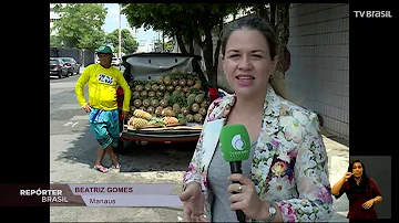 O que poderia ser feito para erradicar o trabalho infantil no Brasil?