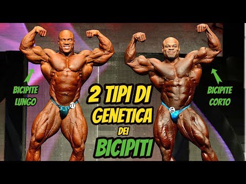 GENETICA Dei BICIPITI : 2 Tipologie A CONFRONTO ** Bicipite Lungo e Corto ** Bodybuilding
