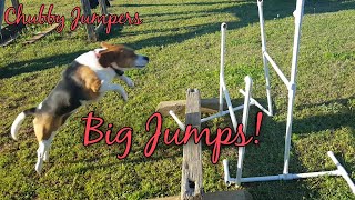 Bigger Jumps! | Chubby Jumpers by Chubby Jumpers 128 views 4 years ago 3 minutes, 6 seconds