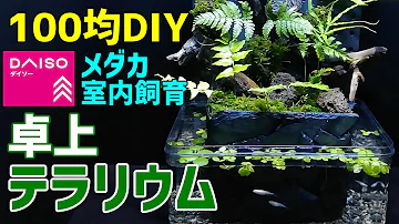 イモリ メダカの アクアテラリウム 作り方100均diy メダカ室内飼育にも使えるイモリウム作成 How To Make A Tabletop Aquaterrarium Mp3