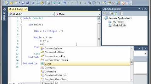 Visual Basic - 11 While loop