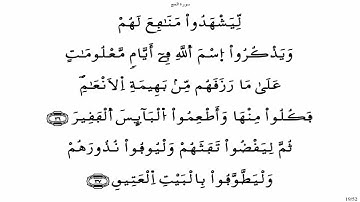 سورة الحج - ياسين الجزائري برواية ورش