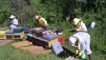 Bee ethic 2.0 Thermal hive - always connected to your smartphone, simple, sustainable an| Indiegogo