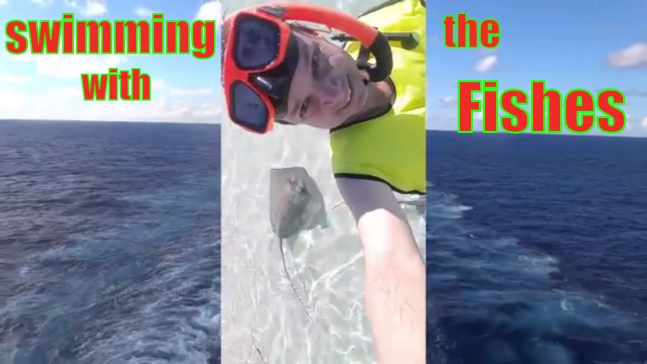 swimming with stingrays on Princess Cay