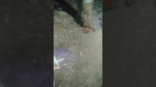 Animasi Ff Sokgan Asli