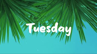 Burak Yeter - Tuesday ft. Danelle Sandoval Lyrics