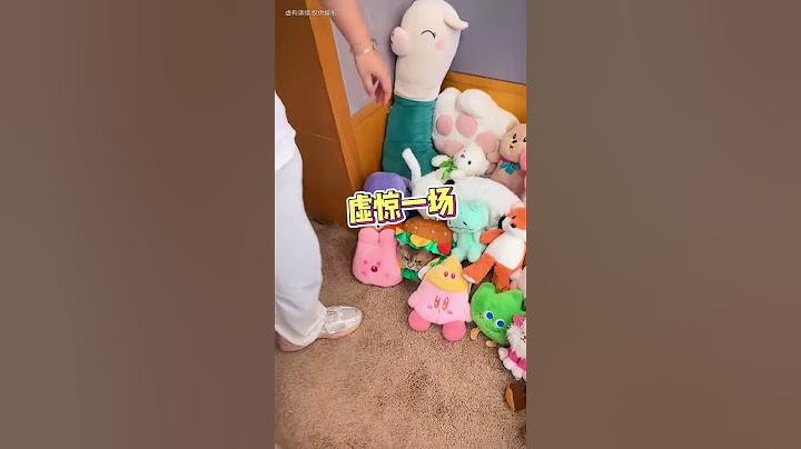 房東禁止養貓突然來查房怎麽辦，招財自有妙招不被趕走#lucky #cat #萌寵 #cute #funny #shorts