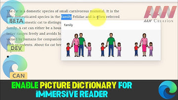 How to Enable Picture Dictionary for Immersive Reader in Microsoft Edge Chromium (Canary Build)