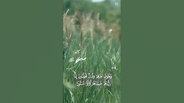 سورة الانسان \ ودانية عليهم ظلالها ,,,,