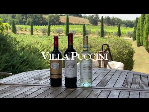 Video: Villa Puchchini tavsifi va fotosuratlari - Italiya: Viareggio