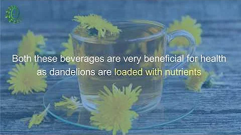 8 Best Benefits of Dandelion Tea | Organic Facts
