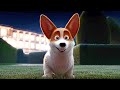 THE QUEEN'S CORGI Clip - "Rex & Charlie" (2019)