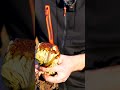 #radicchio marcio o si puÃ² mangiare? #orto #mattthefarmer