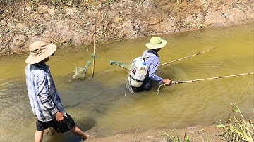 Tát Mương Miền Tây Bắt Được Toàn Cá Lóc