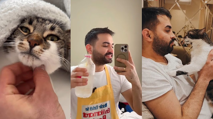 Kadir Ezildi'nin Kedisi ile İmtihanı 😂✨️