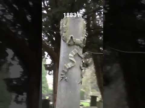 Видео: кладбище в Голландии