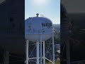 Wiggins MS