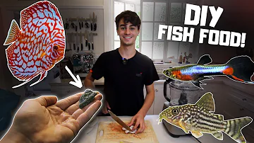 Working On My DIY Fish Food Recipe! (Vlog)