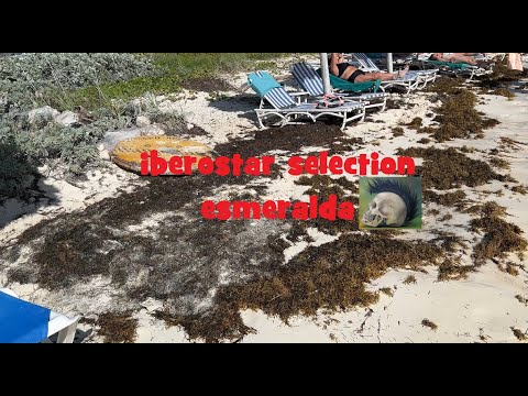 видео: iberostar selection esmeralda/Инструкция по выживанию/Дьюти фри Кайо Коко/Экскурсии на островах