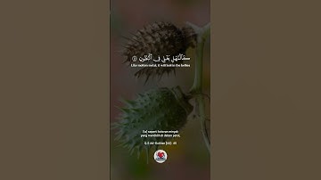 إن شجرة الزقوم❤️سورة الدخان🧡إسلام صبحي💛🥰😍 makna surah ad-dukhan 43-49
