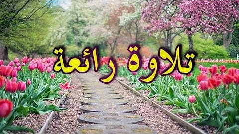 تلاوة من اروع التلاوات التى سوف تسمعها من سورة الاعراف الآيه (٦٥)إل الآيه (٨٧)quran karim