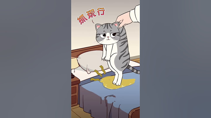 猫咪乱拉乱尿怎么办，大多是这些原因，其实不只是猫的问题  ［猫咪知识］有猫真好