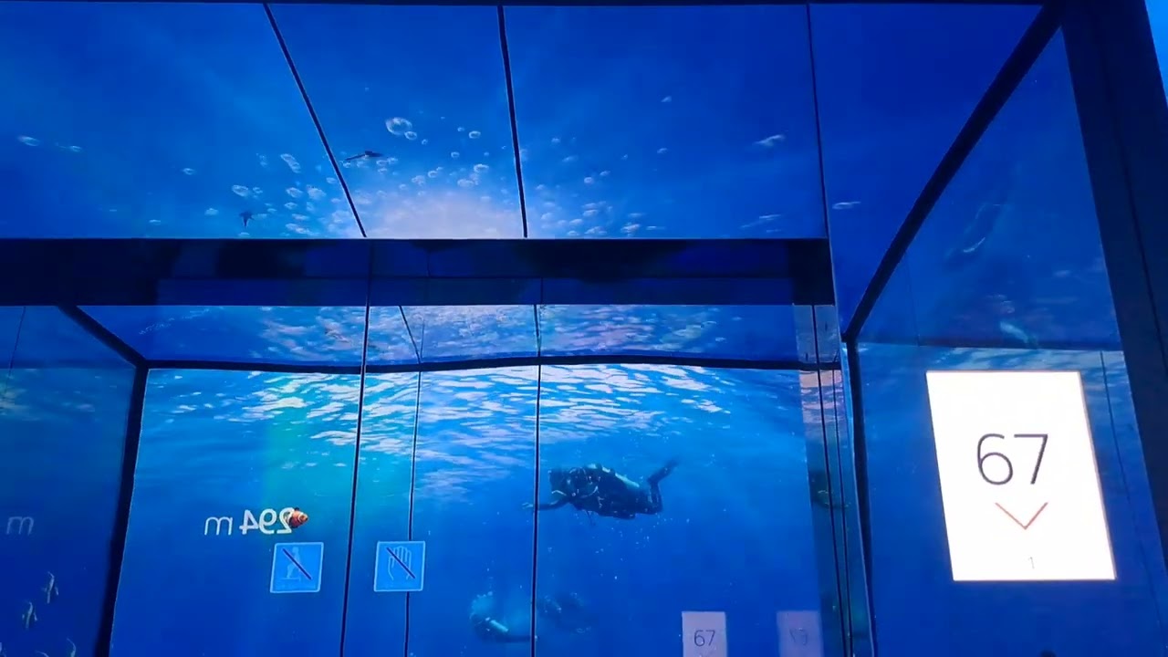 (부산광역시 최고 높이 마천루)부산 해운대구 중동 LCT 부산 엑스 더 스카이 미쓰비시 엘리베이터 하강(98F~1F)