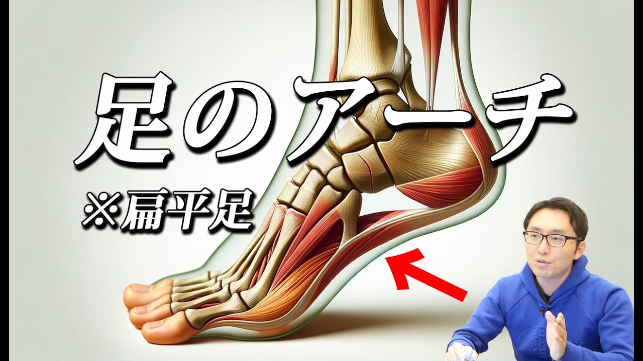 【バレエ】足のアーチ：正しい足のアライメント