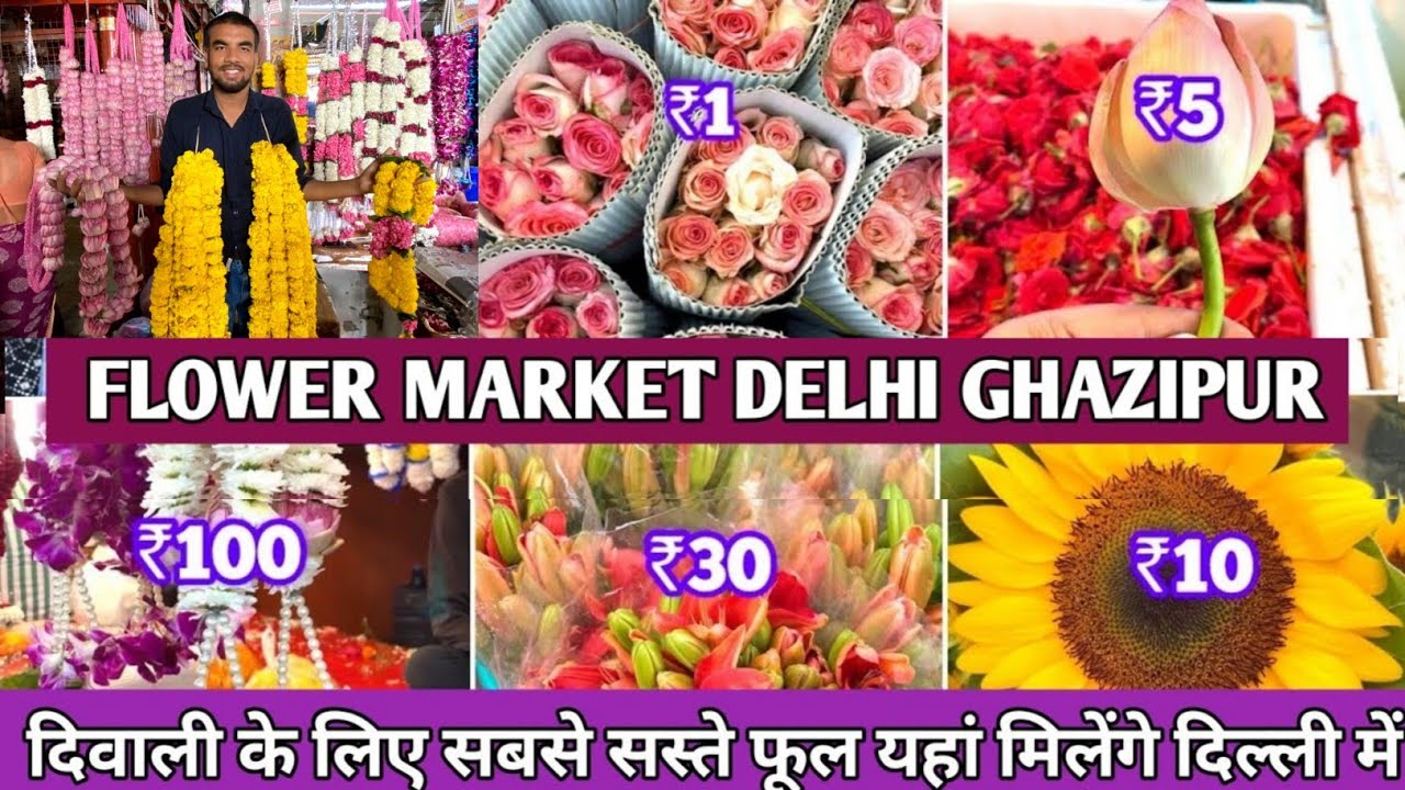 Flower Market Delhi | The Biggest Flower Wholesale Market Ghazipur | 100+Flower Variety & Reasonable