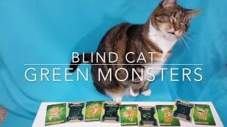 POCKET RIVALS Strategy Card Game Demo (as explained by cats) screenshot 2