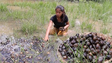 Survival solo in forest: Catch a lot snails in the lake and Snails curry delicious