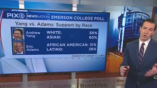 Yang well ahead in crowded mayoral race amid ranked choice concerns, PIX11 poll finds