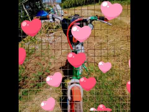 Xe điện độ