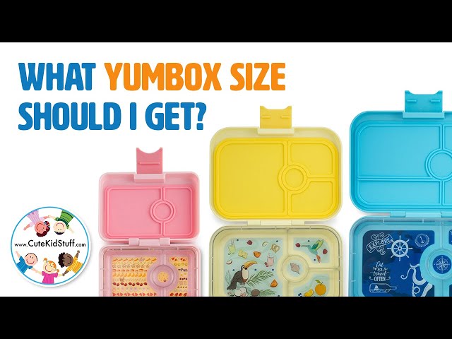 YumBox vs MunchBox - Choosing between two bento-style containers - Curious  Mamas