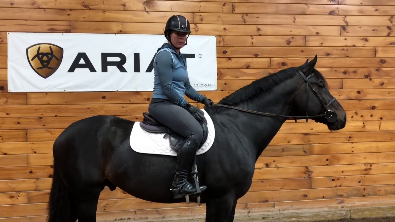 The Madden Method tightening your girth and adjusting stirrups while mounted YouTube