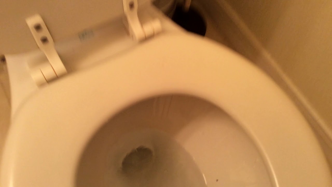 Avocados from Mexico meme YouTube