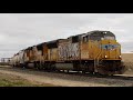 Union Pacific LOP53 Switching On The Lone Pine Branch!