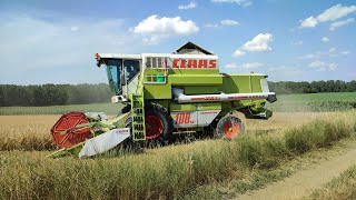 [2022] Aratás összefoglaló | Claas Dominator 108 sl Maxi, Belarus 82.1-MBP6.5