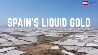 An Unprecedented Drought In Andalusia | Spain's Liquid Gold: Climate Change