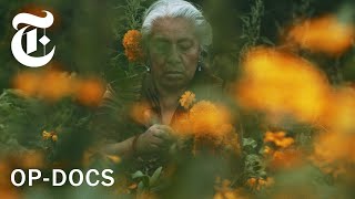 For Day of the Dead, I Followed This Flower's Journey | An Emmy-Nominated Op-Doc