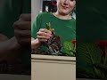Blumenbeet aus Paletten? Kein Problem! Wir zeigen dir, wie’s geht. 🌸🌱