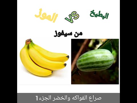 صراع الفواكه والخضر الجزء1 الموز ضد البطيخ الدلاع من سيفوز