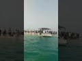 معديه شاطئ الغرام التفاصيل موجوده في فيديو علي القناه