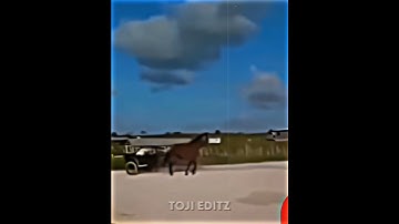 Tokyo Drift..☠️ #trollfaceedit #trollface #shorts