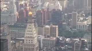 Hexstatic - Perfect Bird