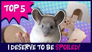 Top 5 Chinchilla Cage Accessories  | WHAT YOU NEED FOR A CHINCHILLA | Your Chinchilla will LOVE This